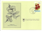 Carte 1er Jour - île D'Antigua - Fleur - Hibiscus - 1960-1981 Interne Autonomie