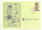 Carte 1er Jour - île D'Antigua - Fleur - Passion Flower - 1960-1981 Autonomía Interna
