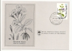 Carte 1er Jour - Saint Kitts - Fleur - Meadow Weed - Anguilla (1968-...)