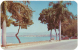 VEDUTA DELLA BAIA DI PORT-AU-PRINCE. HAITI. CARTOLINA ANNI '50 - Haïti