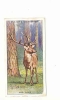 Red Deer /  Cerf élaphe /  Animaux De La Forêt  / Countryside Animal  / IM 61/1 - Player's