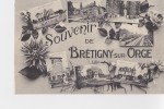 BRETIGNY Sur ORGE - Souvenir De ......... - Bretigny Sur Orge