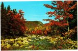 Swift River Along Kancamagus Highway, N. H. - Fall Foliage Adds Its Own Special Touch To New Hampshire's Most Scenic H - Other & Unclassified