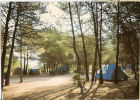 CP Perthuis Camping Municipal 84 Vaucluse - Pertuis