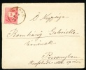 1888 Hungary Cover Sent To Pozsonyban. Nadas 88.Aug.16. (G13c210) - Lettres & Documents