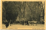 SAINT PONS - Promenade Du Foirail - Saint-Pons-de-Thomières