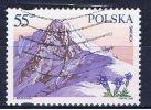 PL+ Polen 1996 Mi 3620 - Used Stamps