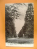 CP  HESDIN   N°39 LA FORET LES QUATRE SAPINS   - ECRITE EN 1935 - Hesdin