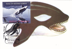 WHALE, 1993, CM MAXI CARD, CARTES MAXIMUM, ROMANIA - Baleines