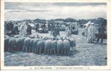 SIDI BEL ABBES  -  Le  Marché  Aux  Moutons - Sidi-bel-Abbes