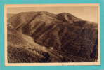 Delcampe - VALLERAUGUE (Environs) --> Le Mont Aigoual. Lacets De La Route - Valleraugue