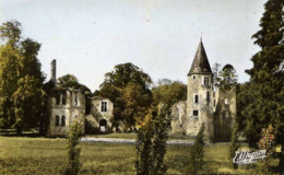 Dépt 77 - FONTENAY-TRÉSIGNY - Ruines Du Château Royal Du Vivier - CPSM - (environs De Chaumes) - Fontenay Tresigny