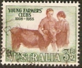 AUSTRALIA - USED 1953 3½d Anniversary Of Young Farmer's  Club - Cattle - Oblitérés