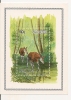 Zaïre 1984 BL58 MNH** - Ungebraucht