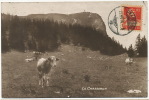 Le Chasseron   Alpage Paturage 3027 Deriaz Baulmes Timbrée Grandson - Baulmes