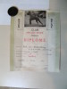 AA Diplome Concours Canin 1967 Boxer Club Belge Chien Format A4 - Diplome Und Schulzeugnisse