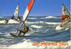 PLANCHE A VOILE - La Folie Du Jour - 2 Anciennes Planches Mistral, Voile Triangulaire ! - TBE, Carte Neuve - Sailing