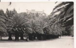 CASTILLO CHAPULTEPEC MEXICO 48 (CARTE PHOTO) - Mexique