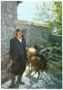 CYPRUS/CHYPRE/KIBRIS - A SHEPHERD/UNE BERGERE - Cyprus