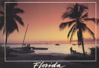 FLORIDA: BEACHES WITH PALM TREES. POASTCARD,CARTE POSTALE - USA - Miami