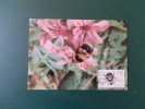 28/487   MAXI CARTE AZORES - Honeybees