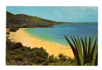 Antilles, St Thomas, Virgin Islands: Morningstar Beach (12-1501) - Isole Vergini Americane