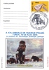 POLAR PHILATELY, SIBERIAN MAMUTH, 2004, SPECIAL CARD, OBLITERATION CONCORDANTE, ROMANIA - Kühe