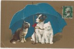 CARTE FANTAISIE  CHATS ET CHIENS Sous Un Parapluie - Animales Vestidos