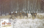 DEER, 2X, 1999, CM. MAXI CARD, CARTES MAXIMUM, CHINA - Gibier