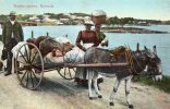 Washer Woman Bermuda 1910 - Bermudes