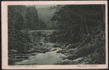 AK Schwarzatal, Steinerne Brücke, Ung, Sehr Alt - Bad Blankenburg