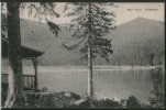 AK Arbersee, Arber, Bayerischer Wald, Gel 1913 - Bodenmais