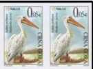 MONTENEGRO  CRNA GORA PELICAN IMPERFORATE RRR - Pélicans