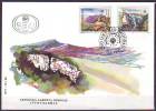 YUGOSLAVIA - JUGOSLAVIJA - FDC - PROTECT NATURE - MOUNTAINS - RIVER CANYON - CAVES - BATS - BIRDS  - 1995 - Chauve-souris