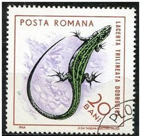 Rumania 1964 Scott 1721 Sello * Fauna Reptiles Lagarto Lacerta Triilineata Dobrogisa Michel 2379 Yvert 2102 R. P. Romina - Neufs