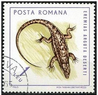 Rumania 1964 Scott 1725 Sello * Fauna Reptiles Lagarto Eremias Arguta Deserti Michel 2383 Yvert 2106 R. P. Romina Romani - Neufs