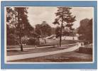 HASTINGS  -  ALEXANDRA  PARK  -  1936  -  BELLE CARTE PHOTO ANIMEE  - - Hastings