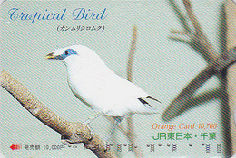 Carte Orange Japon - Animal - Série TROPICAL BIRD - Oiseau - MERLE DE ROTHSCHILD - Japan Prepaid JR Card - Vogel - 2069 - Passereaux