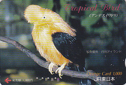 Rare Carte Orange Japon - Animal - Série TROPICAL BIRD - Oiseau - COQ DE ROCHE - Japan JR Card -  Vogel  - 2074 - Sperlingsvögel & Singvögel