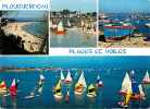 Finistère : Réf : D-12-0938 :  Plouguerneau - Plouguerneau