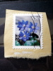 Norway - 1998 - Mi.nr.1272 - Used - Native Plants - Hepatica - Definitives - On Paper - Gebraucht