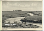 „Hallig Hooge “  Um 1930/1940 Ansichtskarte,(Großformat)  Ungebrauchte Karte - Nordfriesland