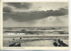 „Abendstimmung An Der Nordsee “  Um 1930/1940 Ansichtskarte,(Großformat)  Ungebrauchte Karte - Nordfriesland