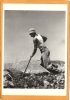 ISRAEL   PAR  ROBERT  CAPA  CLEARING THE  LAND ISRAEL  1950 - Israel