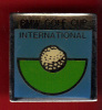 21655-pin's Golf.BMW. - Golf