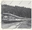 FERROVIAIRE / TRAIN / SNCF / Image : Locomotive Electrique BB 25510 Berne Paris Dans La Forêt De Joux 1978 - Autres & Non Classés