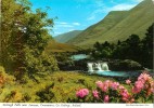 CPSM Aasleagh Falls Near Leenane,Connemara,Galway,Ireland    L1035 - Galway