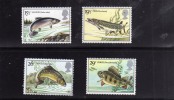 GREAT BRITAIN - GRAN BRETAGNA 1983 BRITISH RIVER FISHES - PESCI DI FIUME INGLESI MNH - Unused Stamps