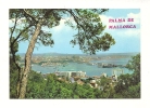 Cp, Espagne, Iles Baléares, Palma De Mallorca, Vue Partielle, Voyagée - Palma De Mallorca