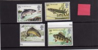 GREAT BRITAIN - GRAN BRETAGNA 1983 BRITISH RIVER FISHES - PESCI DI FIUME INGLESI MNH - Neufs